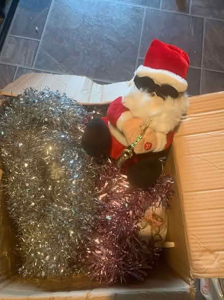 Photo of free Christmas bits (Harrietsham ME17) #2
