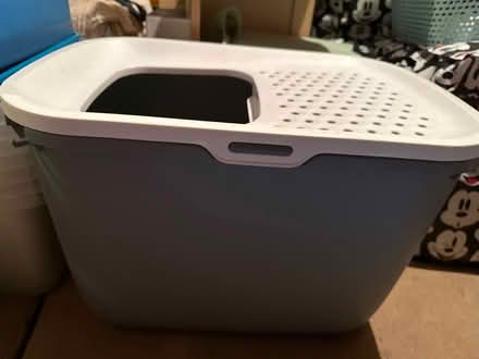 Photo of free Large cat litter tray (Ashford TW15) #1