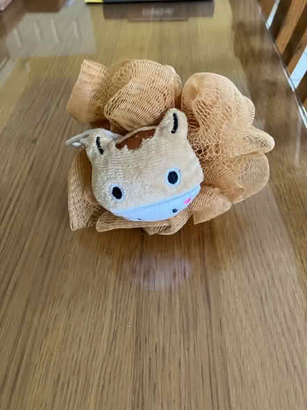 Photo of free Shower puff (St. Michaels Mead, B/Stortford) #1