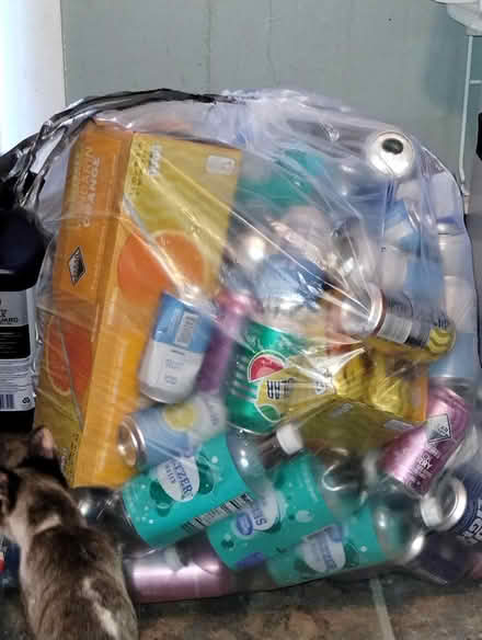 Photo of free Bag of empty cans (Corner of Aborn St & Abbott) #1