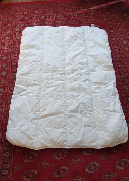Photo of free Small duvet (Pipers Ash CH2) #1
