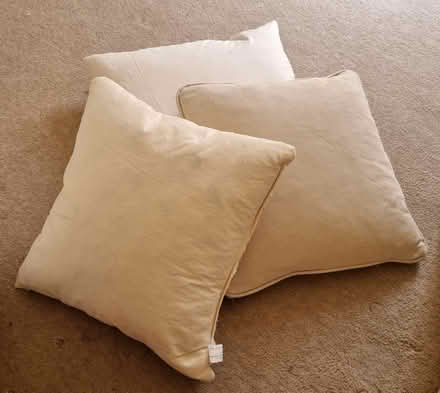 Photo of free 3 x feather cushion pads (CB4 3) #1