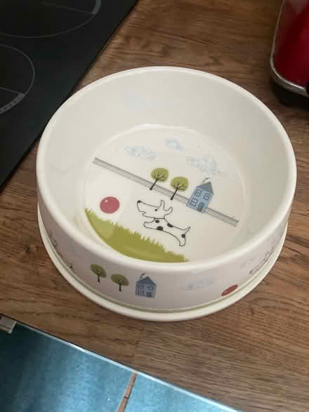 Photo of free Dog bowl brand new (Blacklands TN34) #1