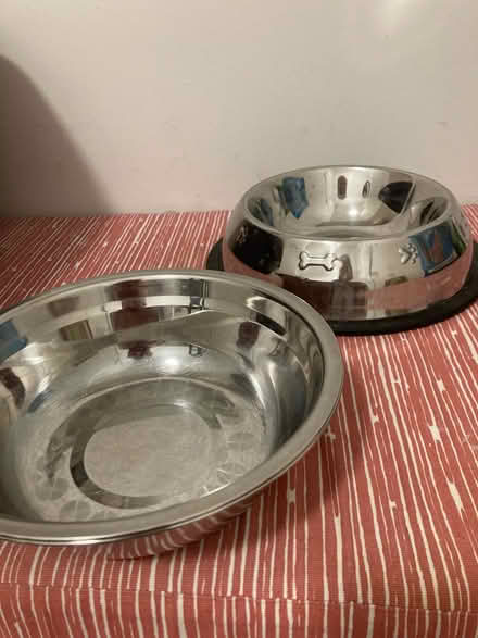 Photo of free Cat Supplies (77 Havemeyer Lane, Stamford) #2