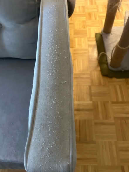 Photo of free Couch (Vasona Lake) #2