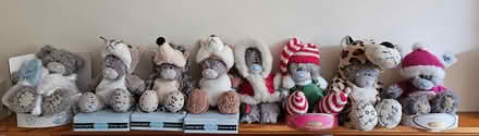 Photo of free Me to You Bears (Minehead) #2