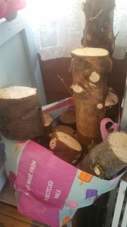 Photo of free Trunks from Xmas trees (Parson cross S5) #1