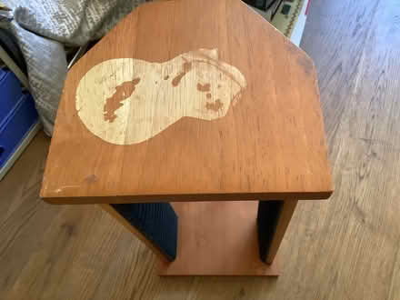 Photo of free CD holder. Holds 32 CD’s. (Brampton S40) #2