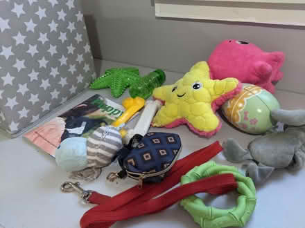 Photo of free Puppy / small dog bundle (EH5, Granton, Edinburgh) #4