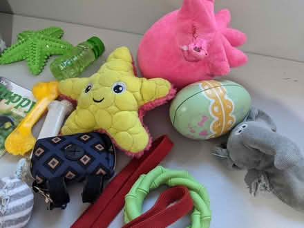 Photo of free Puppy / small dog bundle (EH5, Granton, Edinburgh) #1