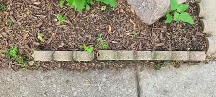 Photo of Scalloped brick edgers (Evanston- Dempster & Chicago) #2
