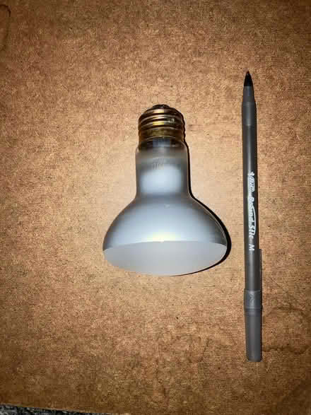Photo of free light bulbs (Newton Center) #3