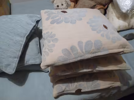 Photo of free Cushions (CT12) #2