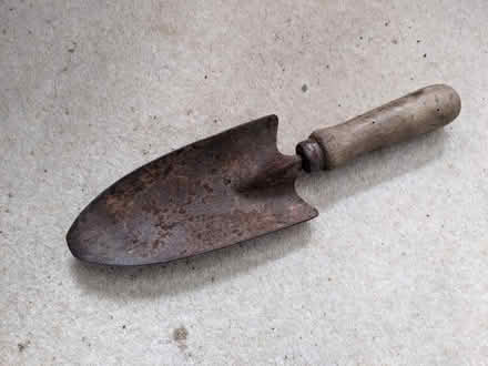 Photo of free Rusty trowel (Hastings TN34) #1