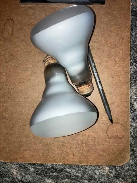 Photo of free light bulbs (Newton Center) #2