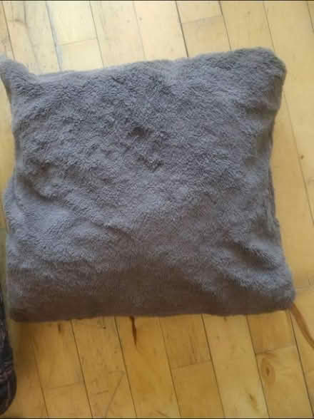 Photo of free Throw pillows (East Harlem) #3