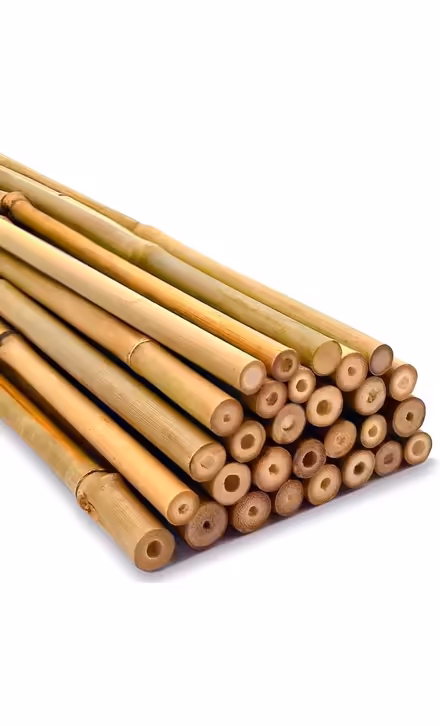 Photo of 2 bamboo canes, at least 1.5mt (BN22) #1