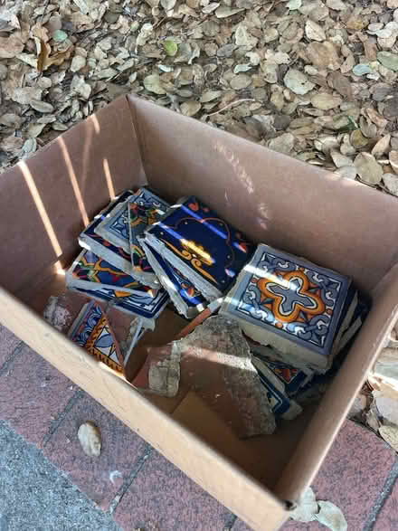 Photo of free Plants, Table, garden mesh (Lower Piedmont Ave) #4