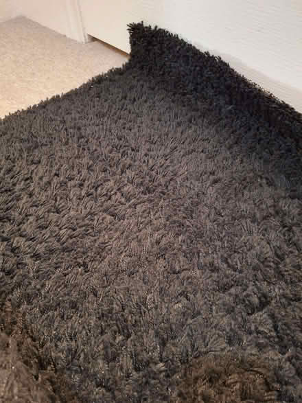 Photo of free Large Black rug (Penrith CA11) #2