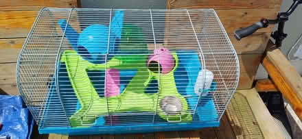 Photo of free Cages (Drumshanbo) #1
