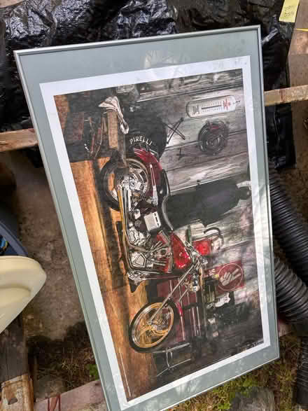 Photo of free stuff (Quaker valley area) #2