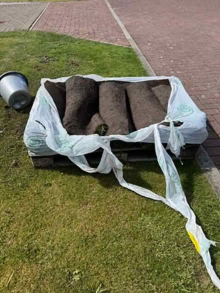 Photo of free Premium grass turfs (Rosewell EH24) #2