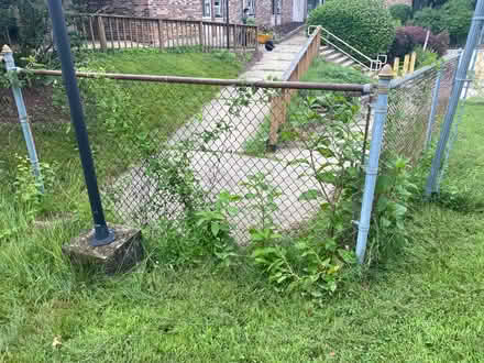 Photo of free fence (Minor park) #1