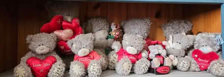Photo of free Me to You Bears (Minehead) #3