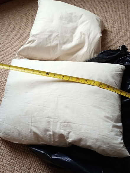 Photo of free 2 x feather cushion inners (Quernmore LA2) #1