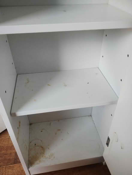 Photo of free Narrow bathroom cupboard (Chilwell NG9) #2