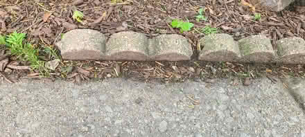 Photo of Scalloped brick edgers (Evanston- Dempster & Chicago) #1