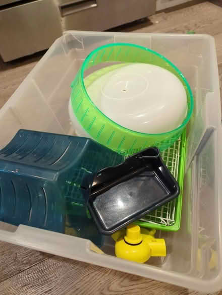 Photo of free Various Pet Rat Items (Northside) #3