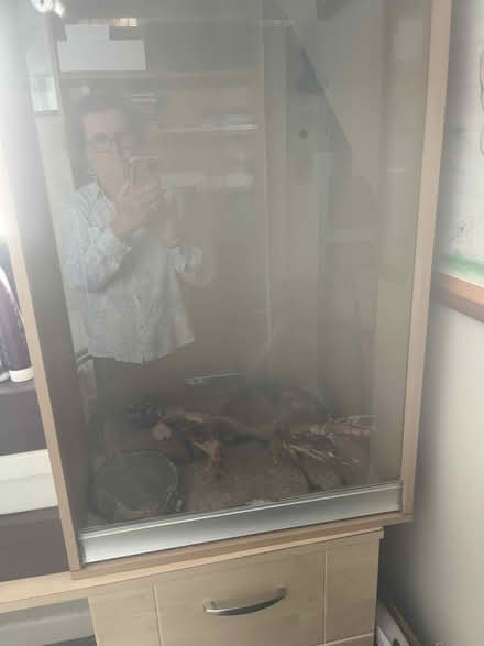 Photo of free Snake tank (Skerries) #3