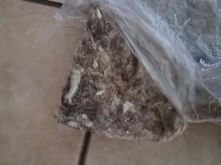 Photo of free Wool insulation packing from frozen food deliveries (Chew Stoke BS40) #2