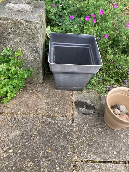 Photo of free Large Square Plant Container (Wimbledon Village SW19) #1
