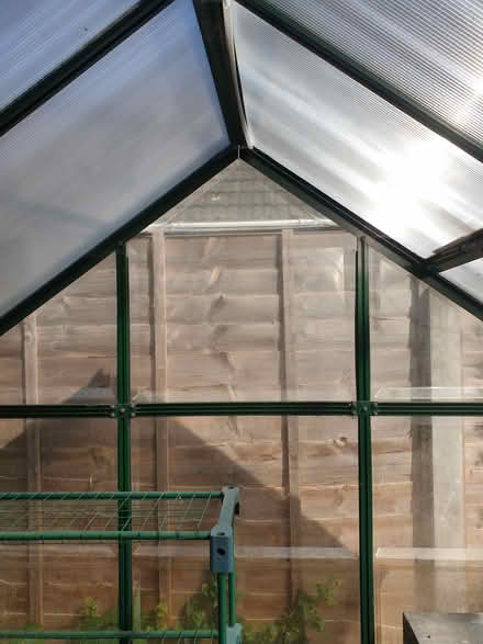 Photo of free READ ALL DETAIL PLS! Greenhouse (ME16 - Allington) #3