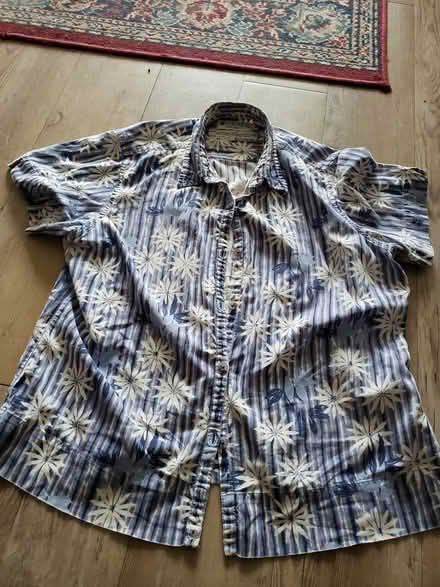 Photo of free Cute women's summer shirt (St.Louis Park) #1