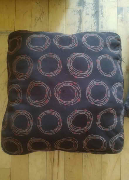 Photo of free Throw pillows (East Harlem) #2