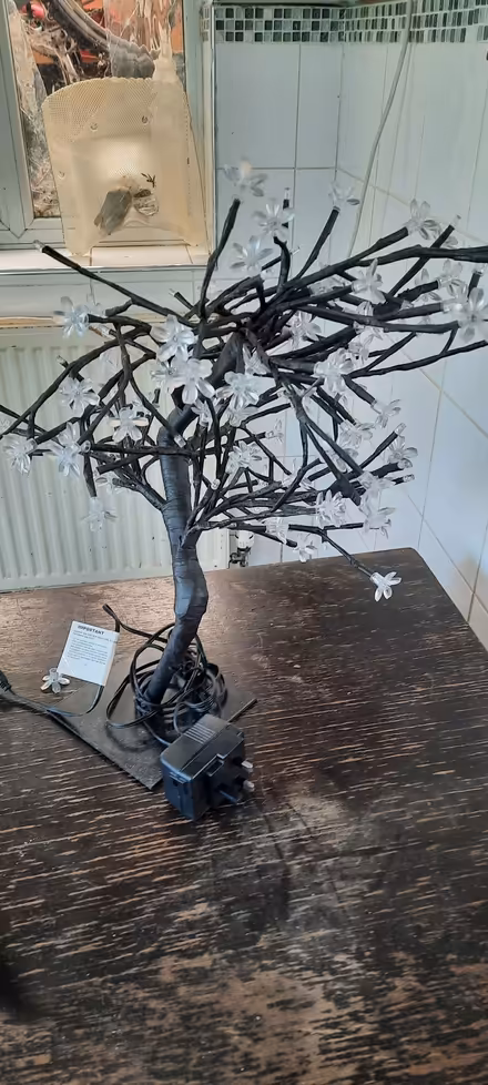 Photo of free Decorative led tree. With psu (Walsall Delves WS5) #1