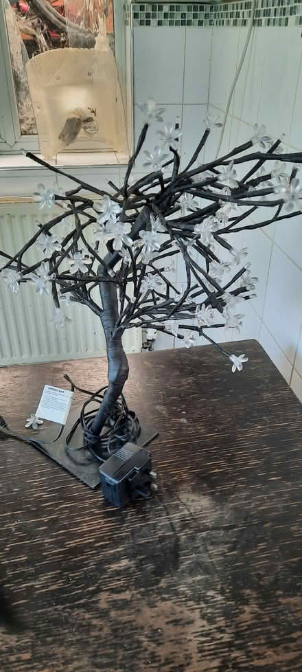 Photo of free Decorative led tree. With psu (Walsall Delves WS5) #1