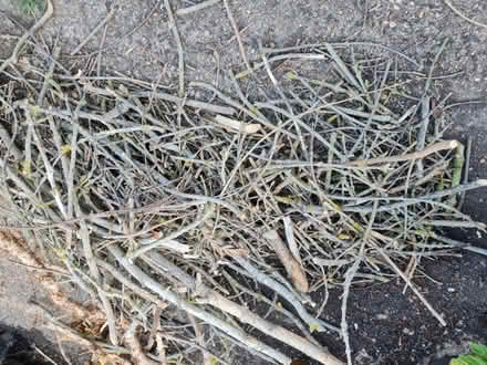 Photo of free firewood (Off Grove Road Rayleigh SS6 8) #1