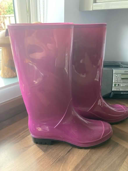 Photo of free Ladies wellies 6 (Howhlill Quarries HG2) #1
