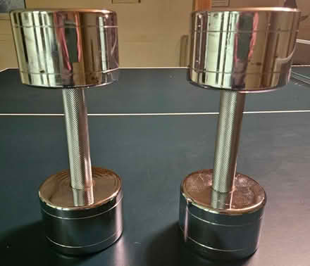 Photo of free 20 lb. Weights (Farmington Hills) #1