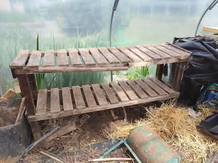 Photo of free Potting shed benches (Standerwick BA11) #1