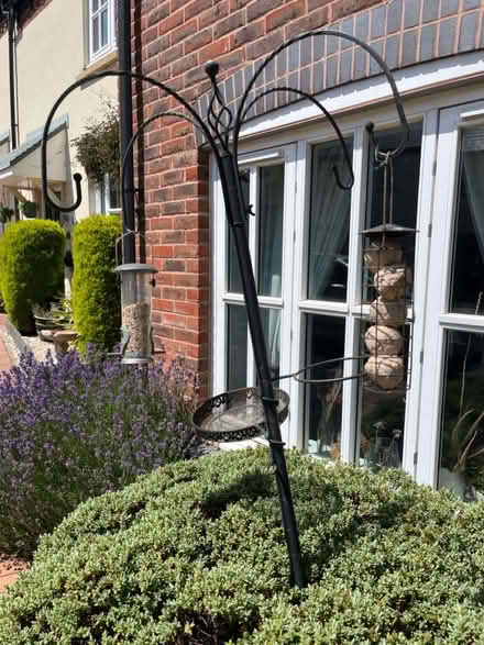 Photo of free Bird feeder (TF4) #1