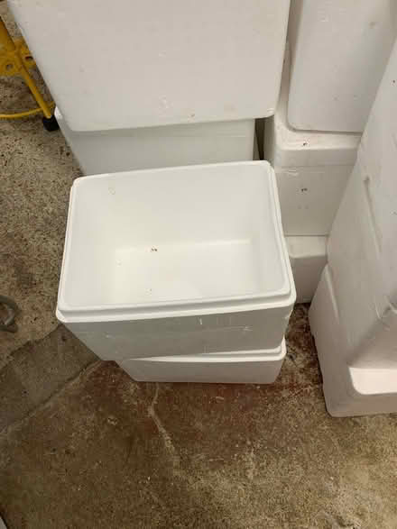 Photo of free Polystyrene boxes with lids (Letchworth SG6) #3
