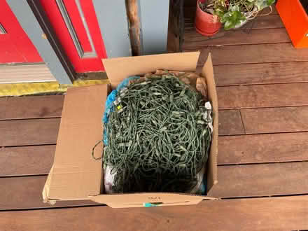 Photo of free Christmas lights (North side of Cleveland Hts) #1