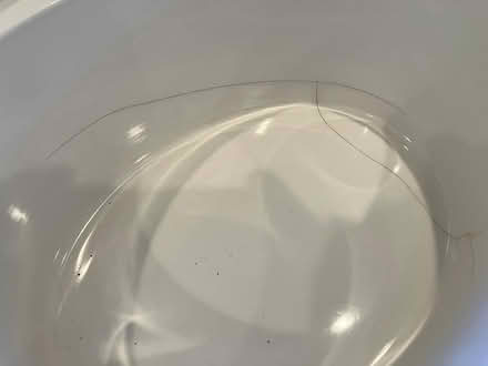 Photo of free Crockpot (Concord) #3