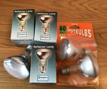 Photo of free Spotlight Bulbs (Bannockburn FK7) #1
