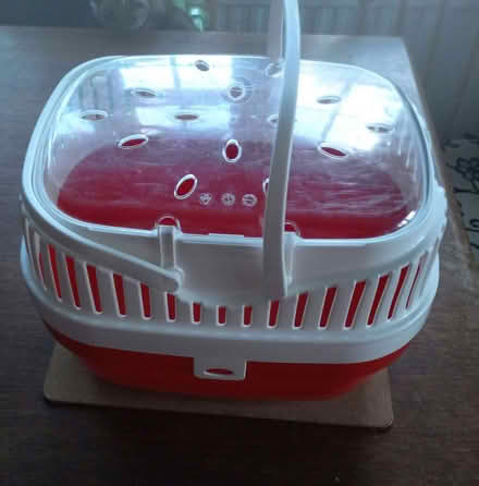 Photo of free Small pet carrier (Twyford RG10) #1